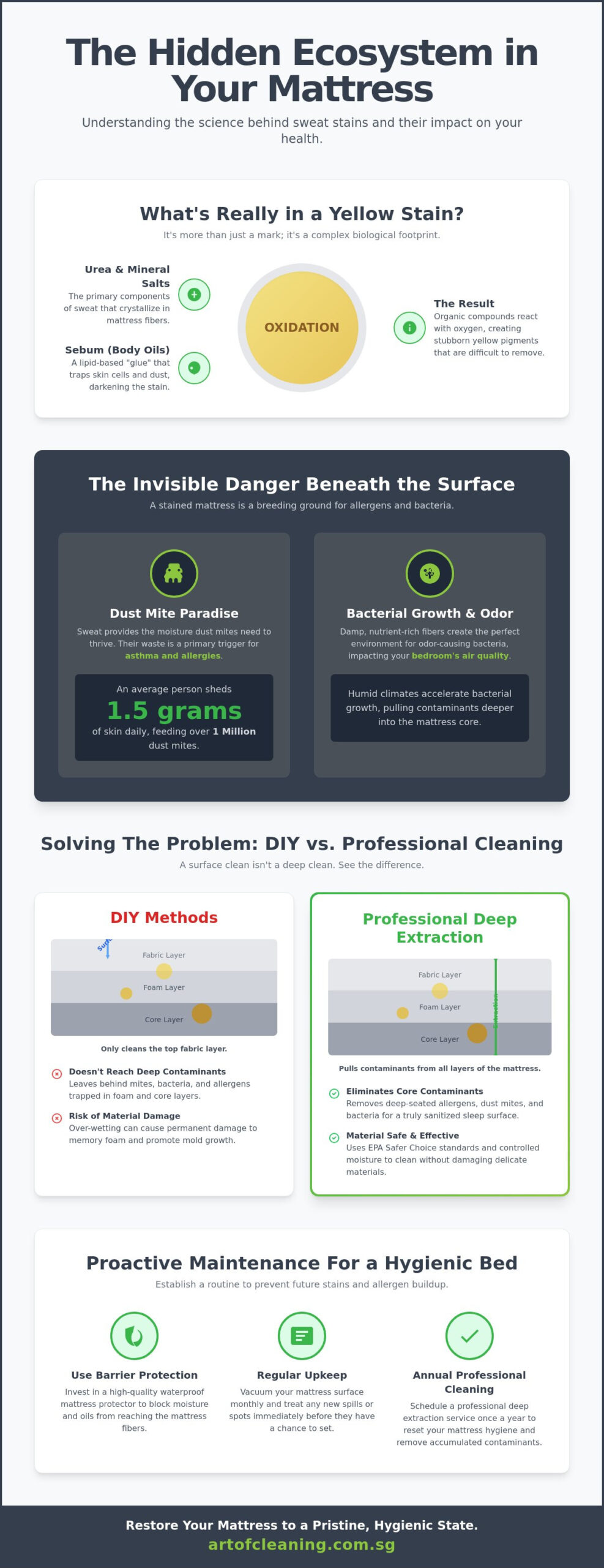 The Ultimate Guide to Sweat Stain Removal from Mattress Surfaces in 2026