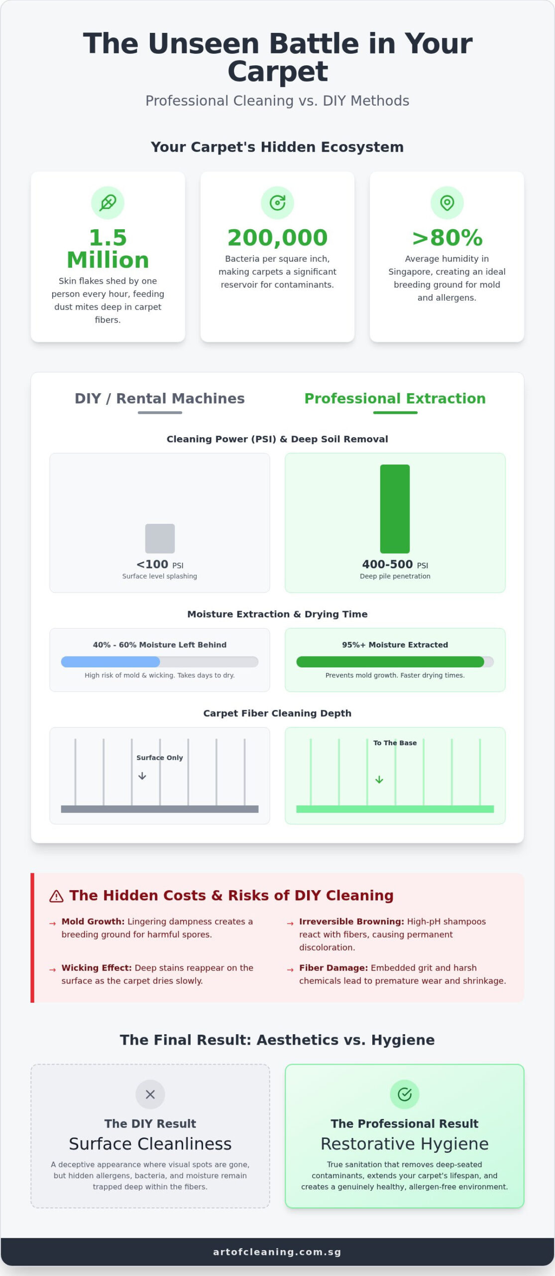 Professional Carpet Cleaning vs DIY: The 2026 Hygiene and Cost Comparison